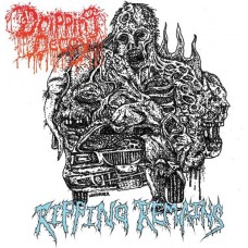 DRIPPING DECAY-RIPPING REMAINS -COLOURED- (LP)