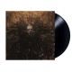 VENERA-VENERA (LP)