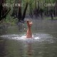 DANIELLE HOWLE-CURRENT (CD)