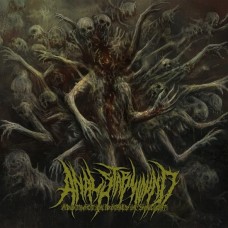 ANAL STABWOUND-ABSTRACTION BATHES IN SUNLIGHT (CD)