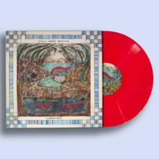 SALLY ANNE MORGAN-CARRYING -COLOURED- (LP)