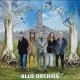 BLUE ORCHIDS-MAGPIE HEIGHTS (LP)