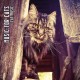 MUSIC FOR CATS-CAT MUSIC (CD)