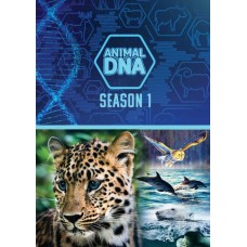 DOCUMENTÁRIO-ANIMAL DNA: SEASON ONE (DVD)