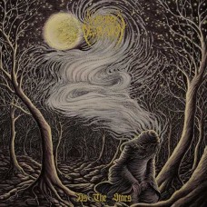 WOODS OF DESOLATION-AS THE STARS -DIGI- (CD)