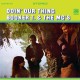 BOOKER T & MG'S-DOIN' OUR THING -COLOURED- (LP)