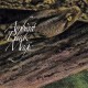 RAINFOREST SPIRITUAL ENSL-AMBIENT BLACK MAGIC (3LP)