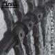 FINAL & RICHARD RAMIREZ-RAVINE OF SPEARS (LP)
