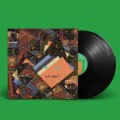 ANIMAL COLLECTIVE-ISN'T IT NOW (2LP)