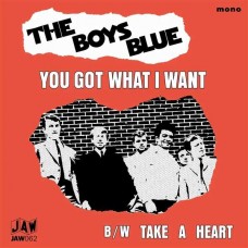 BOYS BLUE-YOU GOT WHAT I WANT/TAKE A HEART (7")