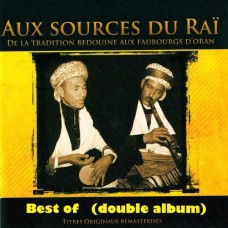 V/A-AUX SOURCES DU RAI (2CD)