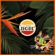 C'MON TIGRE-HABITAT (LP)
