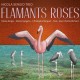NICOLA SERGIO-FLAMANTS ROSES (CD)