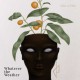 WHATEVER THE WEATHER-TAKE A FRUIT (CD)