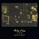 PETE FINE-ONE DAY OF A CHRYSTALLINE THOUGHT (LP)