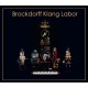 BROCKDORFF KLANG LABOR-SIGNS AND SPARKS (2LP)