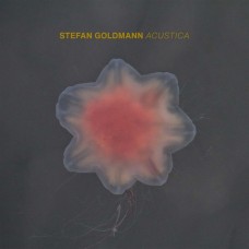 STEFAN GOLDMANN-ACUSTICA (CD)