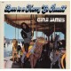 GINJI JAMES-LOVE IS A MERRY-GO-ROUND (CD)