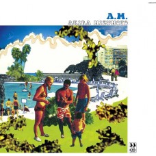 AKIRA MIZUMOTO-A.M. (LP)