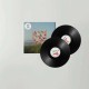 MATTHEW HALSALL-AN EVER CHANGING VIEW (2LP)