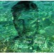 PAUL TAYLOR-SUBMERGED (CD)