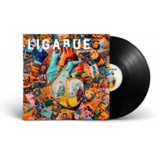 LIGABUE-DEDICATO A NOI (LP)