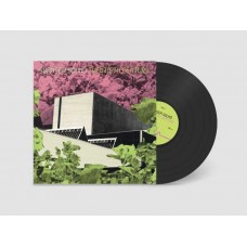 SWANSEA SOUND-TWENTIETH CENTURY (LP)