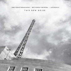 PUBLIC SERVICE BROADCASTI-THIS NEW NOISE (CD)