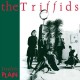 TRIFFIDS-TREELESS PLAIN (LP)