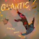 QUANTIC-DANCING WHILE FALLING (CD)