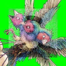GOULDIAN FINCH-HATCH (CD)
