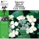 TOSHIKO YONEKAWA/KIYOSHI YAMAYA/CONTEMPORARY SOUND ORCHESTRA-TAPESTRY KOTO & THE OCCIDENT COUNTRY (LP)