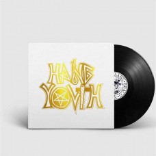 HANG YOUTH-GROOTSTE HITS (LP)