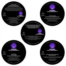 LOUIE VEJA & VARIOUS-VEGA RECORDS 5 PACK UNRELEASED IV (5-12")