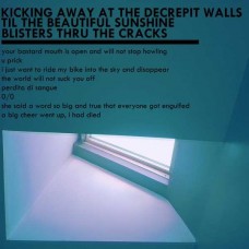 MXLX-KICKING AWAY AT THE DECREPIT WALLS TIL THE BEAUTIFUL (LP)