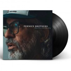 PERNICE BROTHERS-WHO WILL YOU BELIEVE (LP)