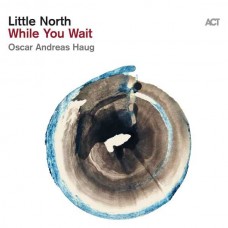 LITTLE NORTH-WHILE YOU WAIT (CD)