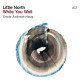 LITTLE NORTH-WHILE YOU WAIT (LP)