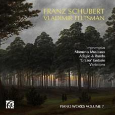 VLADIMIR FELTSMAN-SCHUBERT: PIANO MUSIC (2CD)