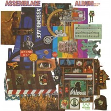 ASSEMBLAGE-ALBUM (LP)