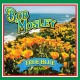 BOB MOSLEY-TRUE BLUE (CD)