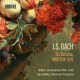 SIRKKA-LIISA KAAKINEN-PILCH-JOHANN SEBASTIAN BACH: SIX SONATAS, BWV 1014-1019 (2CD)