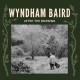 WYNDHAM BAIRD-AFTER THE MORNING (LP)