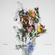 BIG BRAVE-A CHAOS OF FLOWERS (CD)