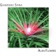 GIAMPIERO SPINA-ALIEN FLOWERS (CD)