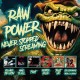 RAW POWER-NEVER STOPPED SCREAMING (3CD)