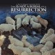 YU MIYASHITA-THIS IS NOT A BURIAL, IT'S A RESURRECTION O. (LP)