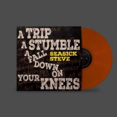 SEASICK STEVE-A TRIP, A STUMBLE, A FALL DOWN ON YOUR KNEES (LP)