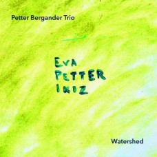 PETTER BERGANDER TRIO-WATERSHED (CD)