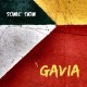 SONIC SKIN-SVEN BERGGREN: GAVIA (CD)